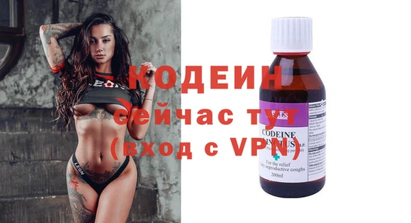 шишки Губаха