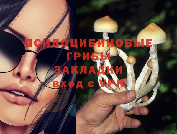 PSILOCYBIN Верхнеуральск