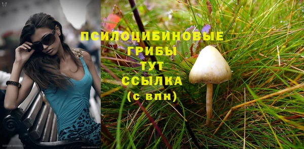 эйфоретик Грязовец