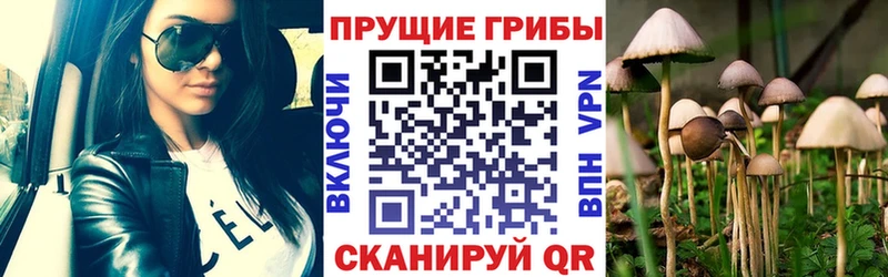 как найти   Плёс  Галлюциногенные грибы мухоморы 
